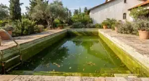 מים ירוקים בבריכה